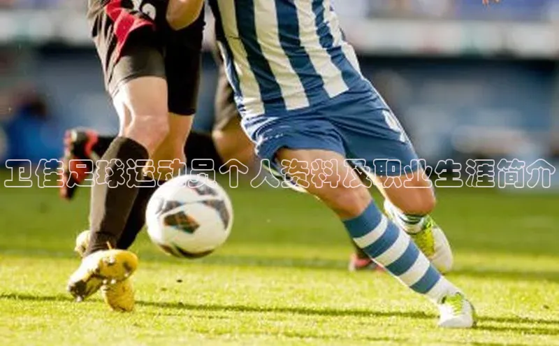 Vsport体育平台百度数据开放平台卫佳足球运动员个人资料及职业生涯简介