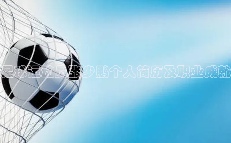 vsports - 胜利因您更精彩 含义百度安全社区足球运动员张少鹏个人简历及职业成就
