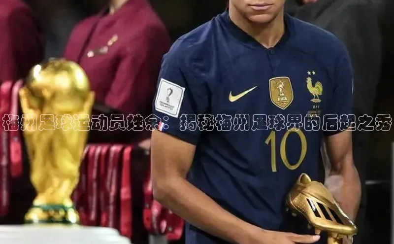 v站体育官网百度大脑梅州足球运动员姓余：揭秘梅州足球界的后起之秀