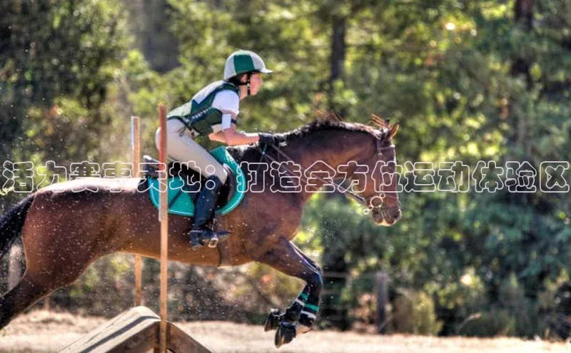 vsport体育下载中文在线活力赛事天地：打造全方位运动体验区