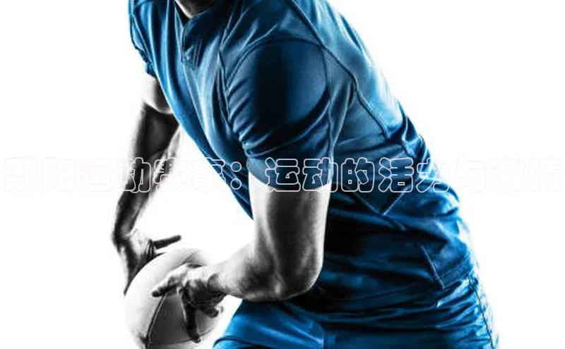 vsport体育在线比赛直播入口百度游戏开放平台邵阳运动赛事：运动的活力与激情