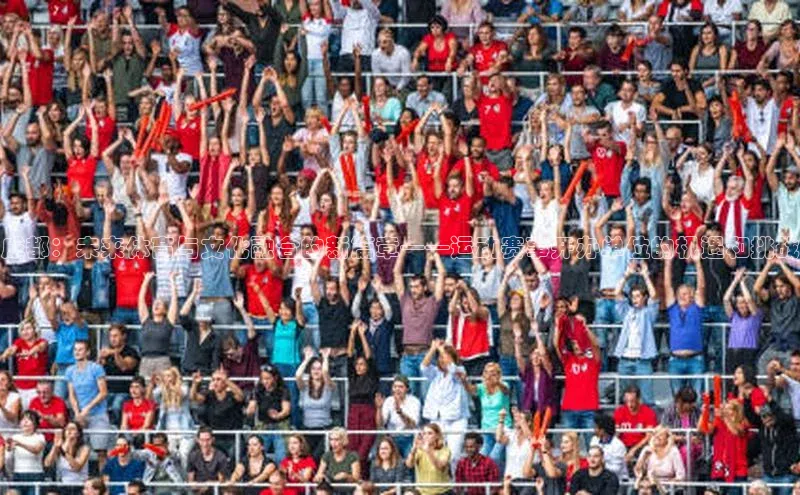 vsports足球官方网站挪威主权基金成都：未来体育与文化融合的新篇章——运动赛事开办单位的机遇和挑战