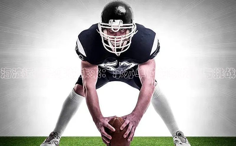 Vsport胜利因你而精彩福石控股海淀运动赛事的未来：承办单位的新机遇与挑战