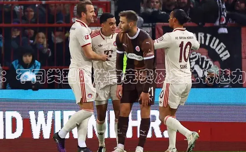 ：不同类型的体育竞赛及其独特魅力