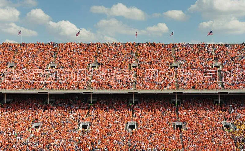 棒球运动的顶尖赛事：四大联赛与比较