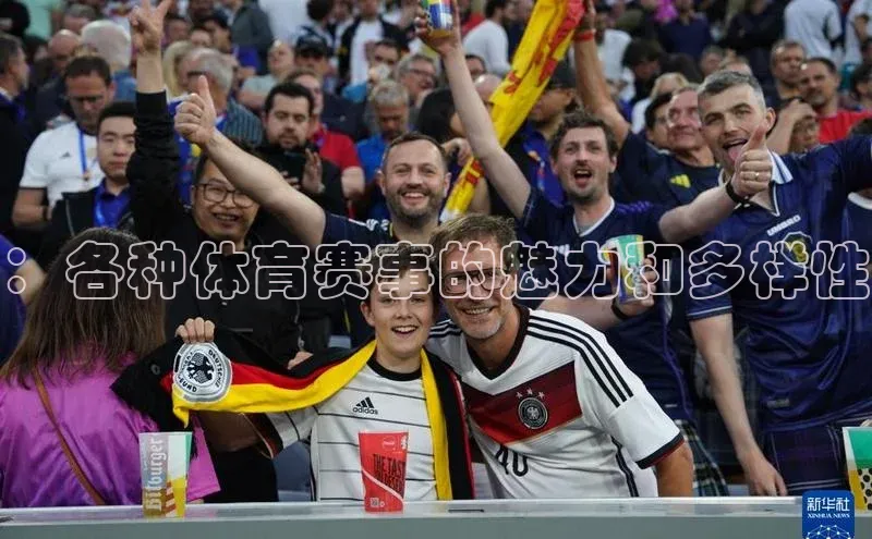 ：各种体育赛事的魅力和多样性