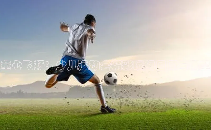 vsport体育在线官网手机版