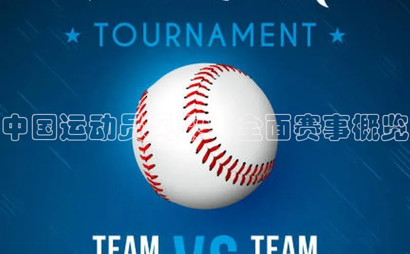 vsport体育在线官网