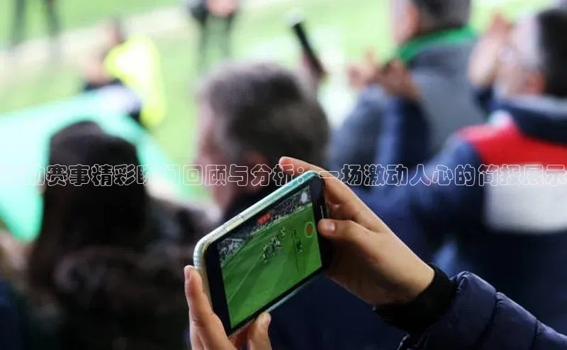 V·体育官方网站