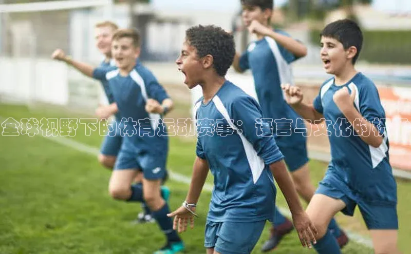 vsport-胜利因官网入口