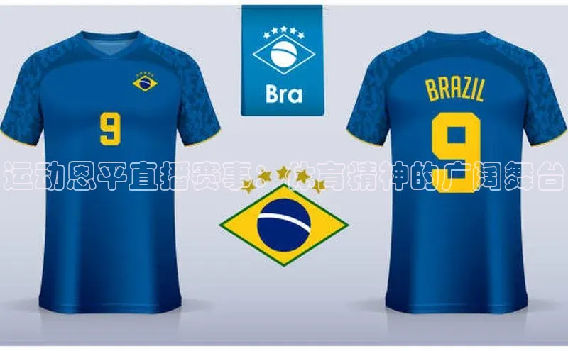 V·体育官方网站