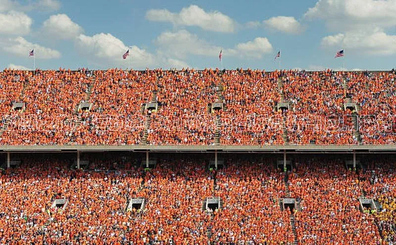 v体育app入口网页版